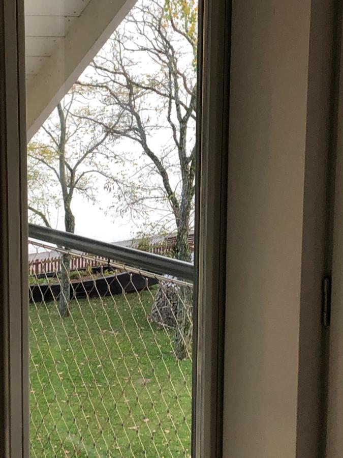 Mariu Peledos Apartman Preila Kültér fotó